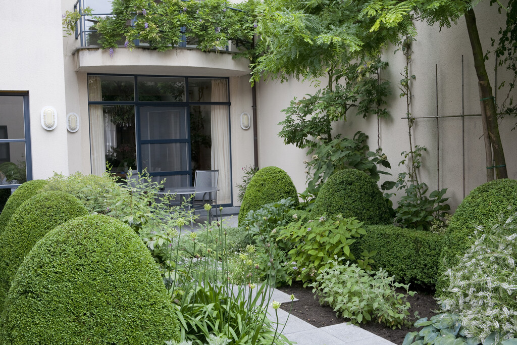 Small Garden Design and the 15 best plants to use