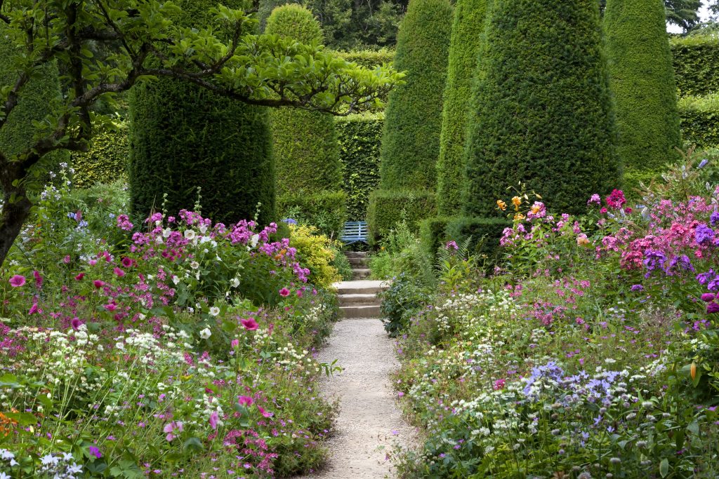 Plants for a cottage garden