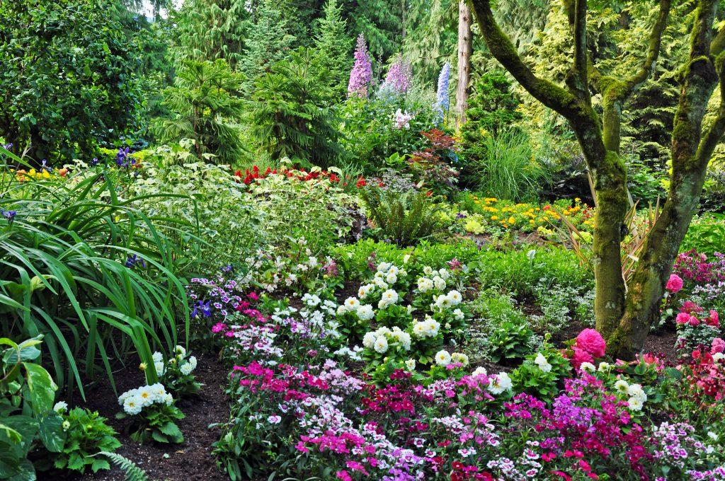 Woodland Flower Garden Ideas