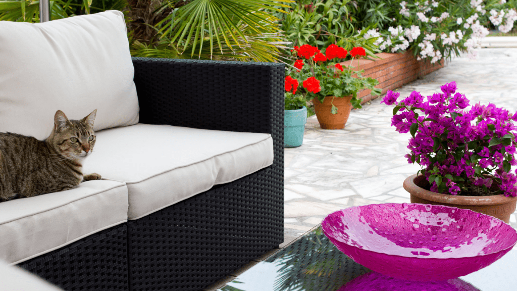 How to keep cats off your patio clearance furniture