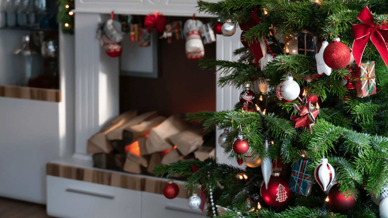 Caring For Your Christmas Tree Gardening Express Knowledge Hub