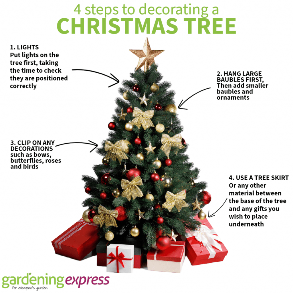 Caring For Your Christmas Tree - Gardening Express Knowledge Hub