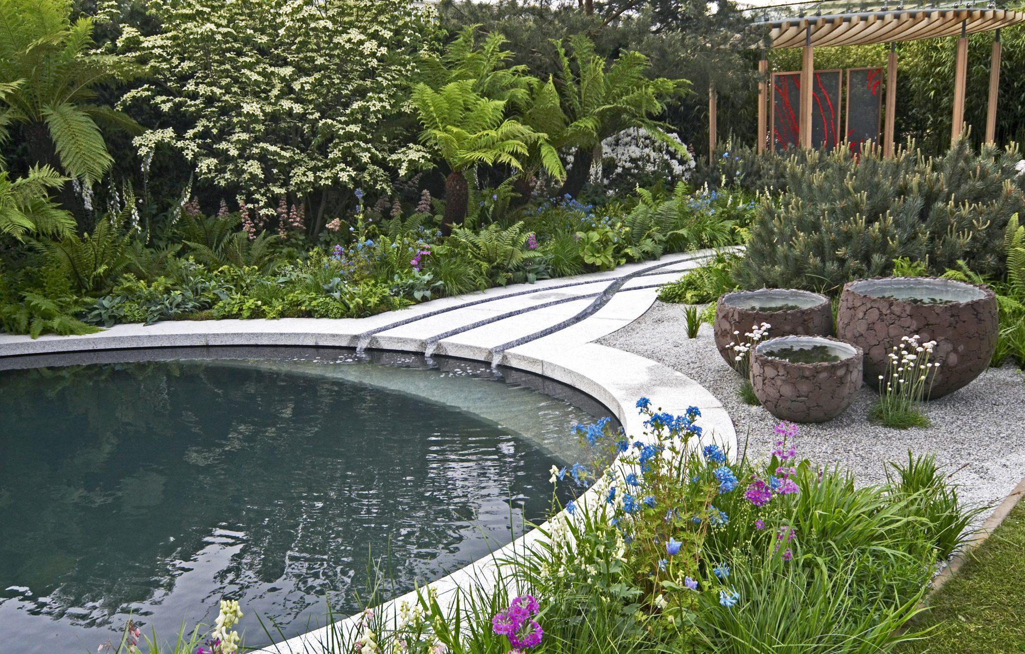 How to Create a Jungle Garden (2024) The Best 15 JungleStyle Plants