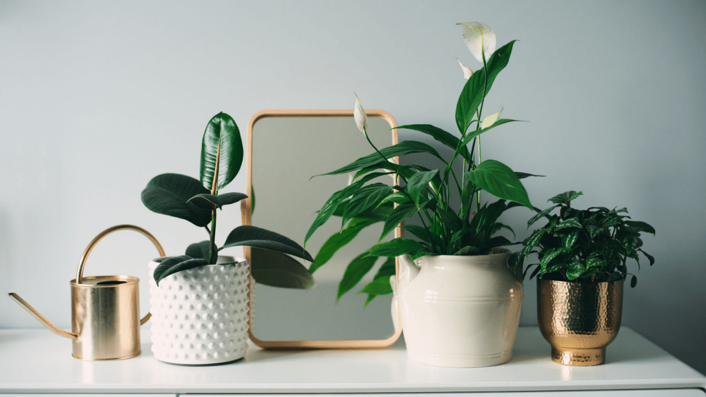 Indoor gardening and houseplants will continue to rise in 2023
