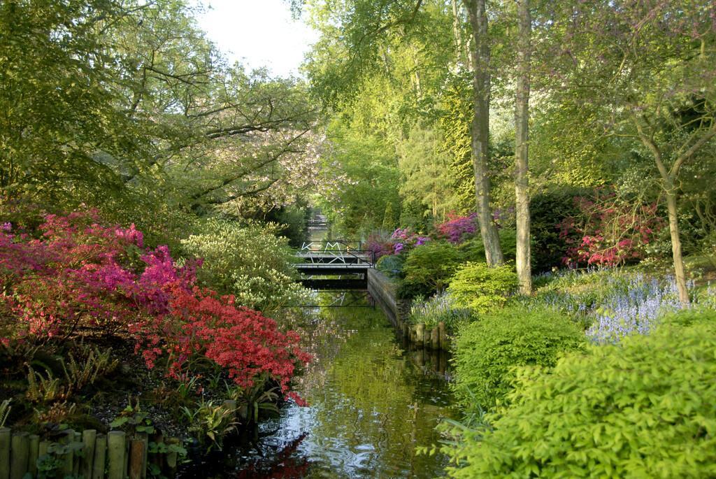 japanese water garden