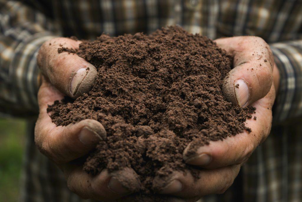 Soil Types A Beginners Guide