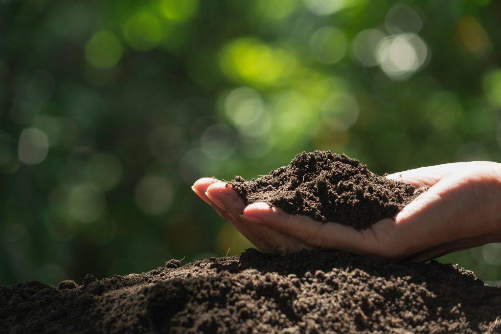 Soil Types: Acidifying Soils