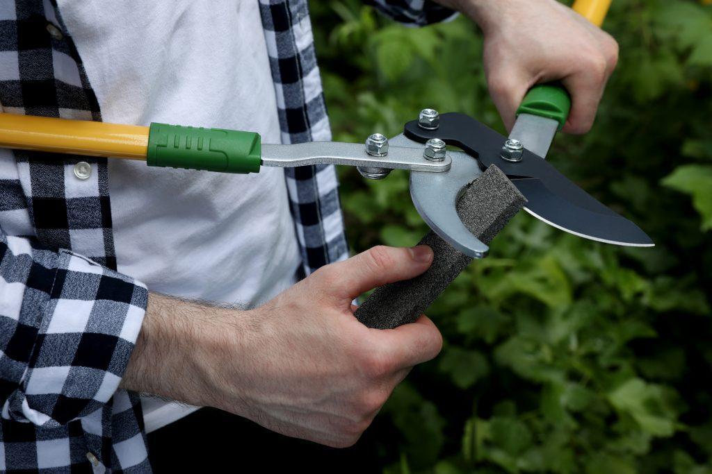 Sharpening store garden shears