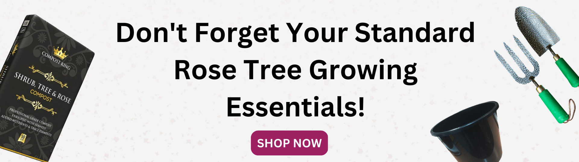 Standard Roses (Rose Tree) Planting & Care