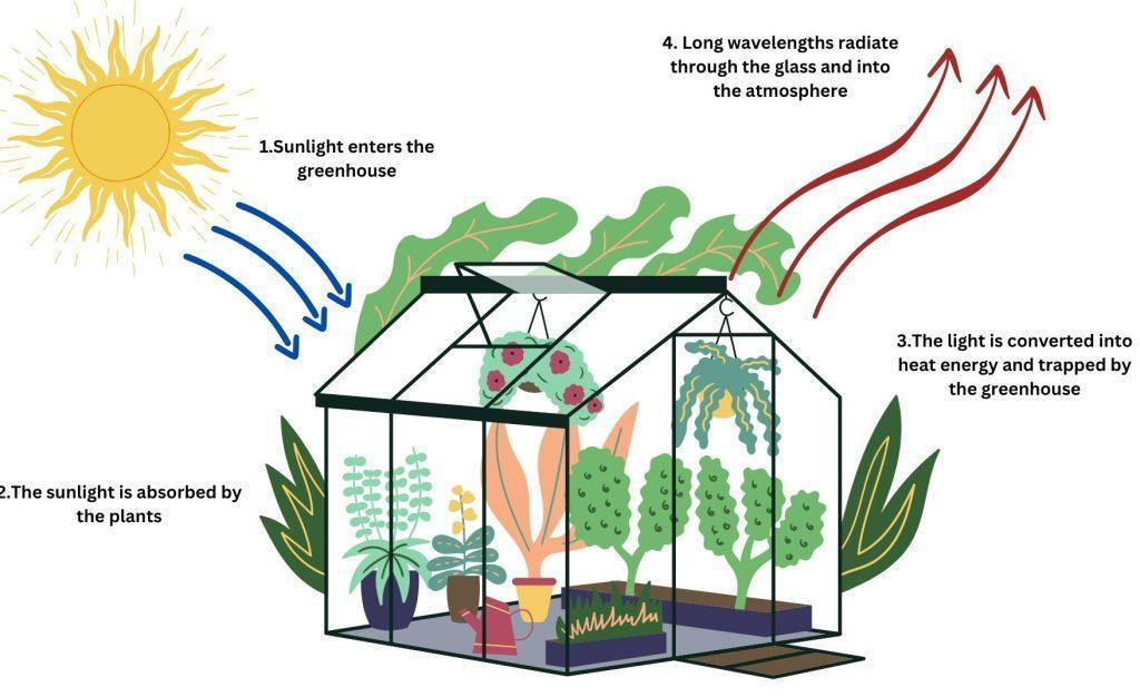 How Does A Greenhouse Work Physics at Jennifer Hollen blog