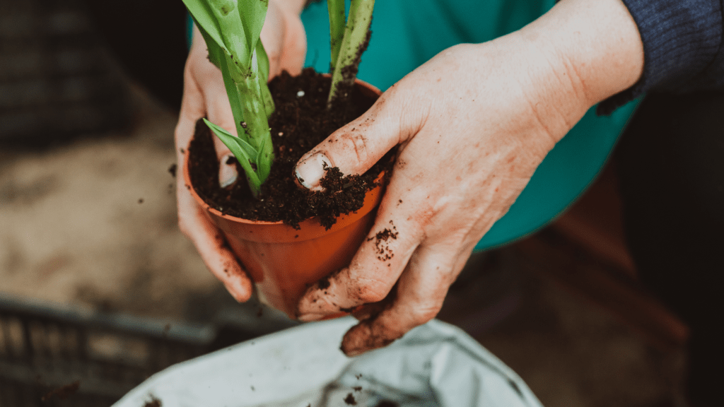 Module 7: Planting Techniques for Different Plant Species