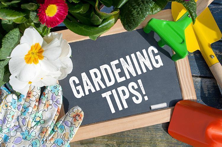 gardening-tips-course-750px-1.jpg