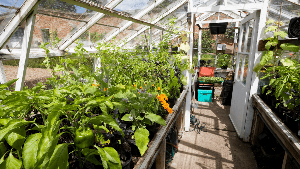 Garden greenhouse with separate storage zone