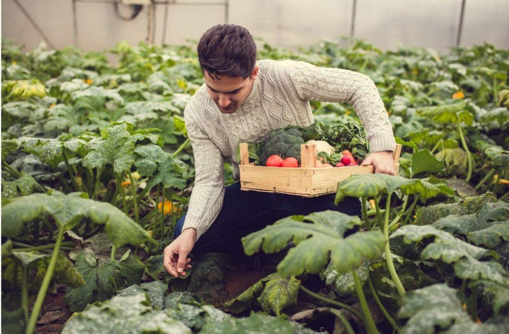 Fruit Veggie Gardening Hacks To Make Your Life Easier