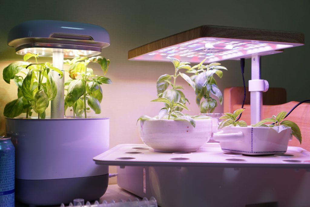 At home Hydroponic system