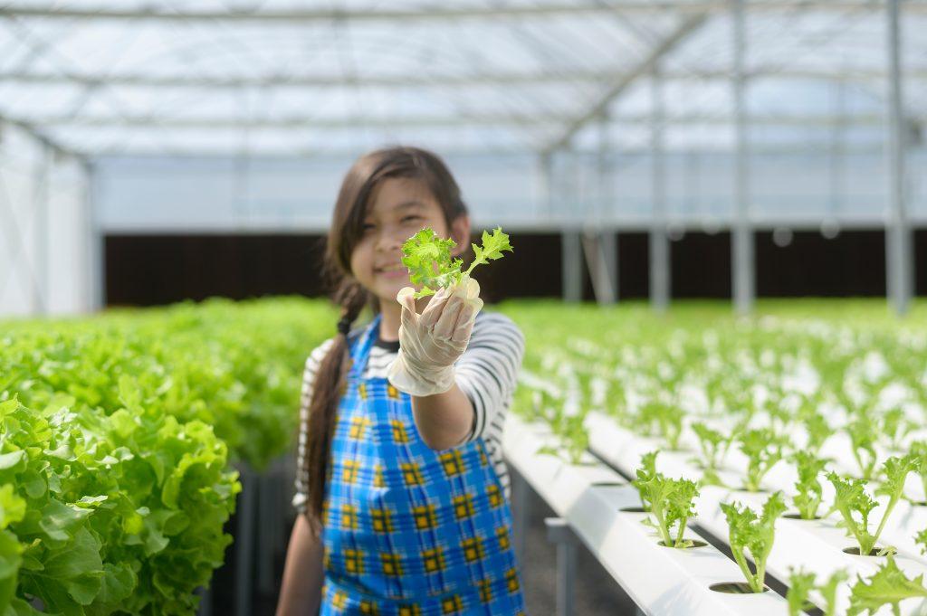 Girl learning and studying in a hydroponic greenhouse farm, education and scientific concept