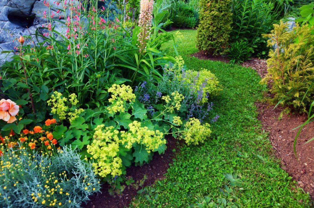 From Puddles to Paradise: 6 Ways to Solve Garden Drainage Issues