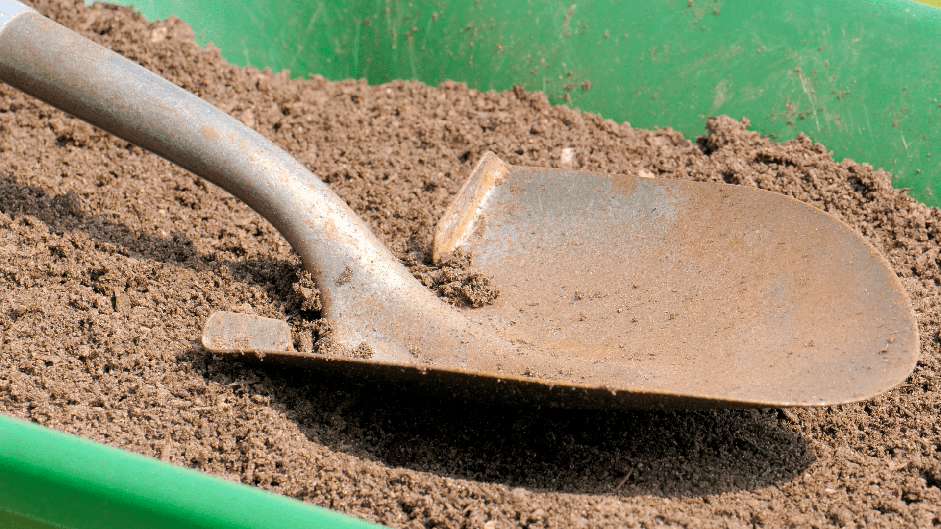 Soil Types Sandy Soils & Top 5 Plants for Sandy Soils