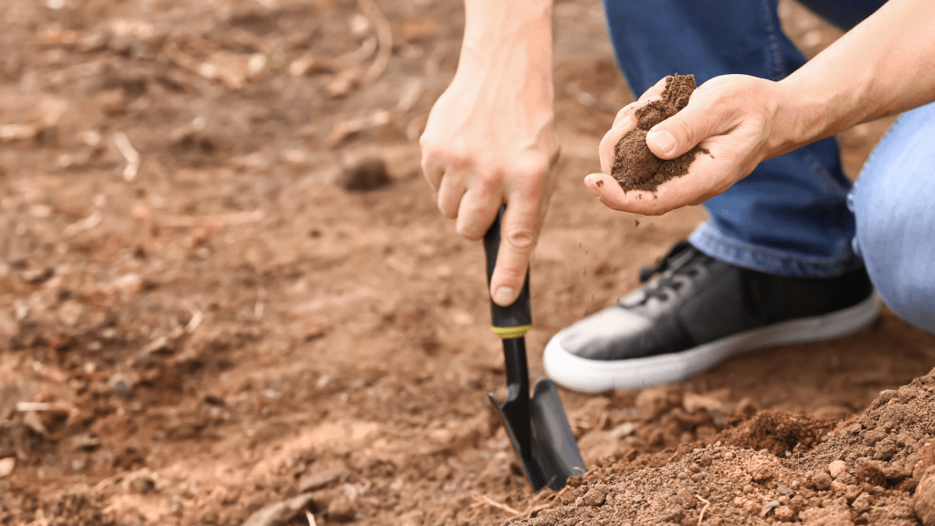 Assess soil type