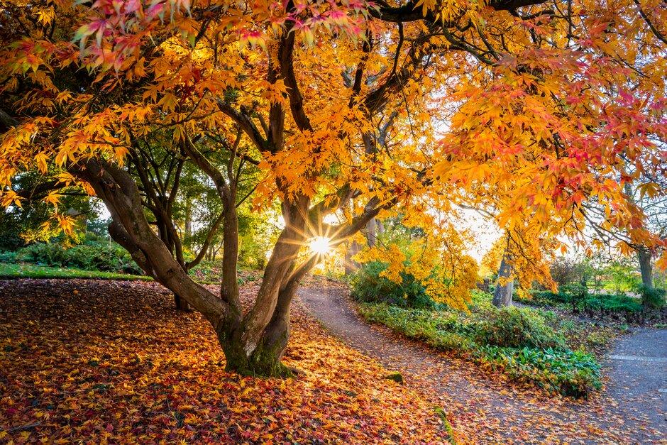 gardens to visit in autumn uk