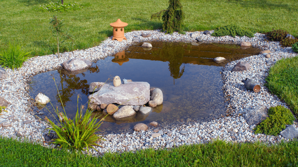 Garden pond deals