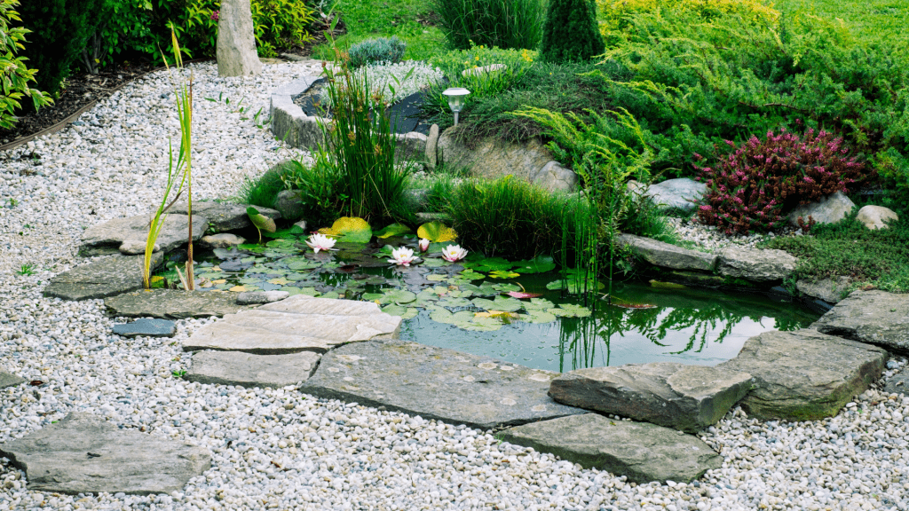 wildlife garden pond caters to local ecosystems