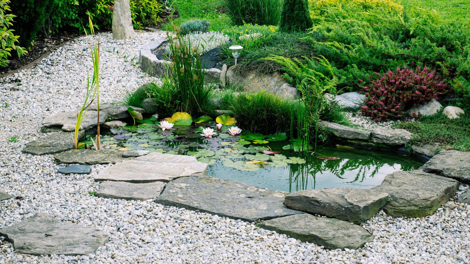 A Guide To Garden Pond Design And Construction