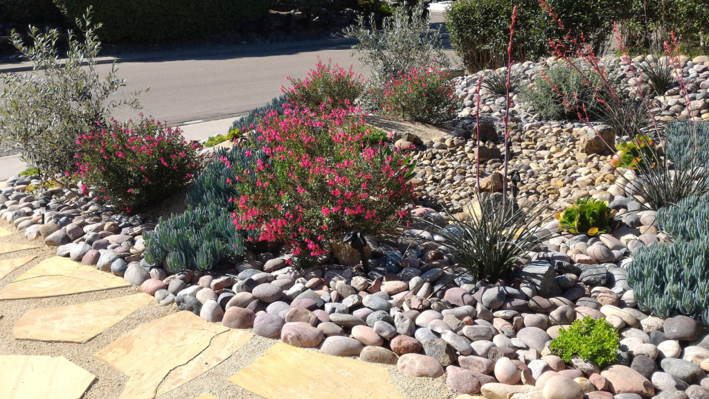 Xeriscaping for Low Water Usage Landscaping