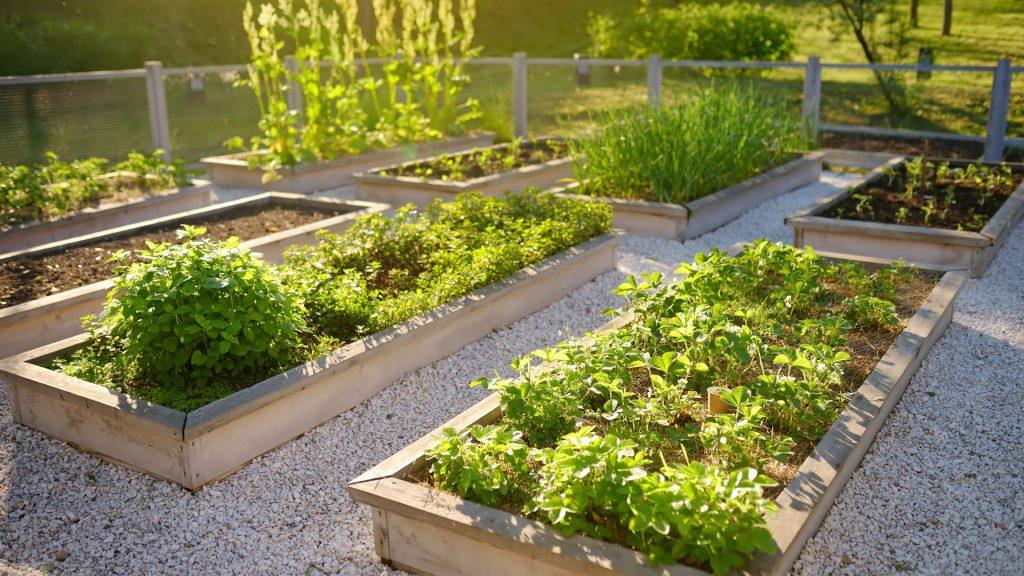 How To Plan Your Garden to Create The Ideal Microclimate