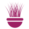 Ornamental Grasses