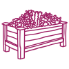Allotment Gardening